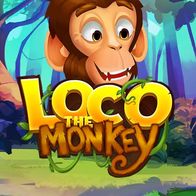 Loco The Monkey