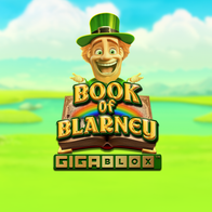 Book Of Blarney